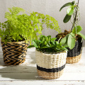 paper string plaited flower pots planters glass pot